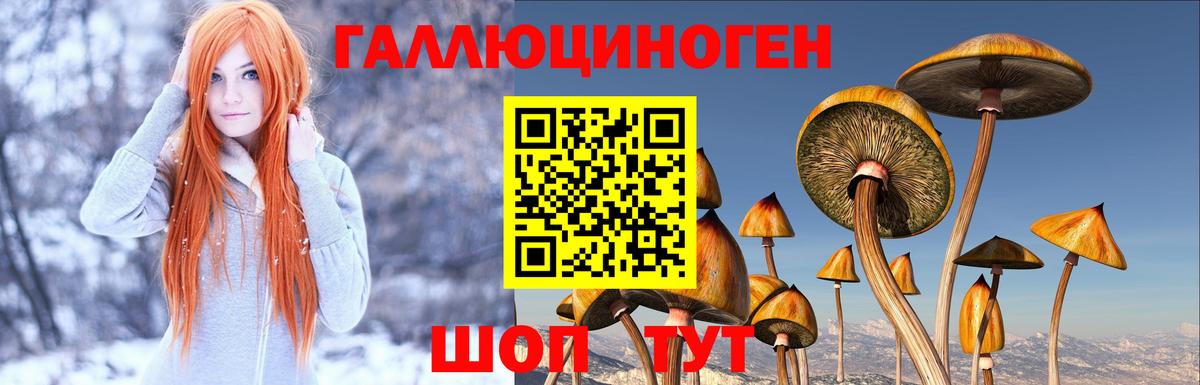 Галлюциногенные грибы Psilocybine cubensis Соликамск
